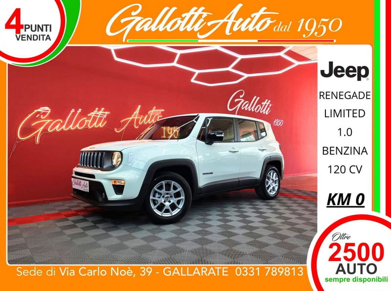 Jeep Renegade 1.0 T3 Business