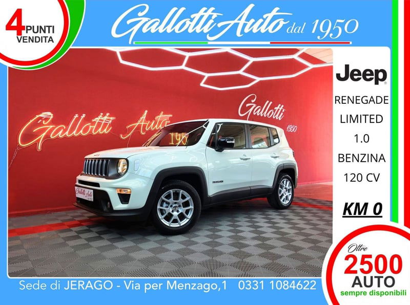 Jeep Renegade 1.0 T3 Business