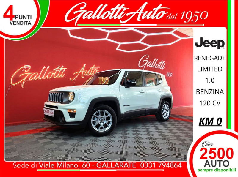 Jeep Renegade 1.0 T3 Business