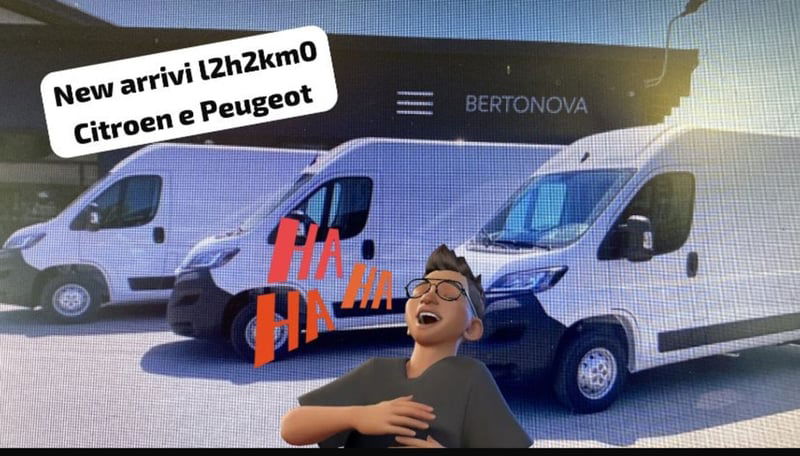 Fiat Ducato Furgone 35 2.2 Mjt 140CV PLMX-TM Maxi HD