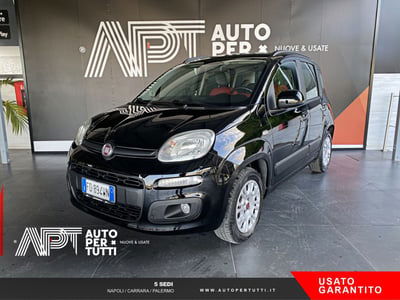 Fiat Panda 1.2 Easy usata