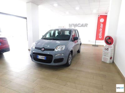 Fiat Panda 1.0 FireFly S&S Hybrid City Life usata