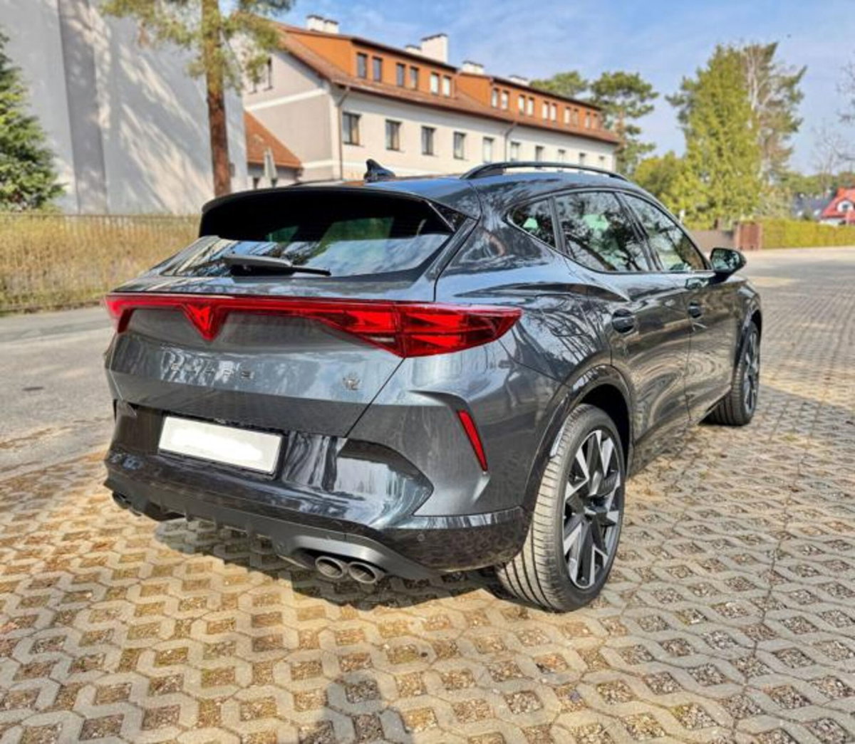 Cupra Formentor 2.0 tsi VZ 4drive 333cv dsg (2)