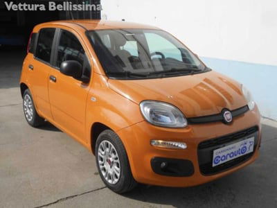 Fiat Panda 1.2 Easy usata