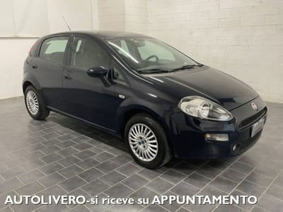 Fiat Punto 1.2 8V 5 porte Easy usata