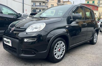 Fiat Panda Cross Cross 1.0 FireFly S&S Hybrid  usata