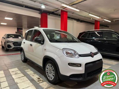 Fiat Panda 1.0 firefly hybrid s&s 70cv 5p.ti nuova
