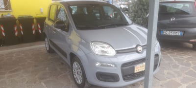 Fiat Panda 1.2 Lounge  usata