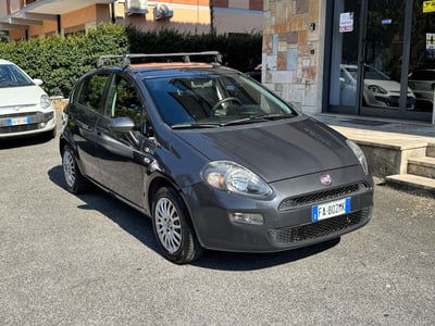 Fiat Punto 1.2 8V 5 porte Lounge  usata