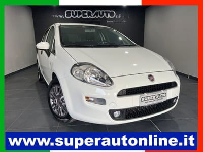 Fiat Punto 1.3 MJT II S&S 95 CV 5 porte Street usata