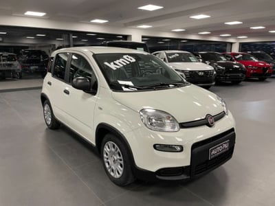 Fiat Panda 1.0 firefly hybrid s&s 70cv 5p.ti nuova