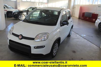 Fiat Panda 1.0 firefly hybrid s&s 70cv 5p.ti usata