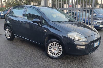 Fiat Punto 1.4 8V 5 porte Natural Power Lounge  usata