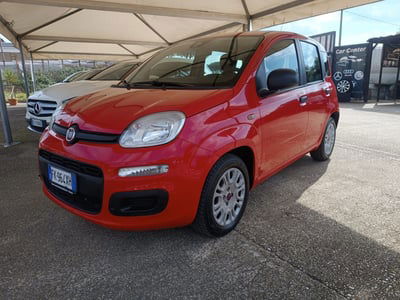 Fiat Panda 1.2 Lounge  usata