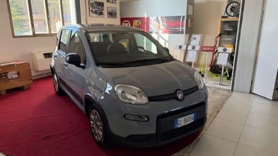 Fiat Panda 1.0 FireFly S&S Hybrid  usata