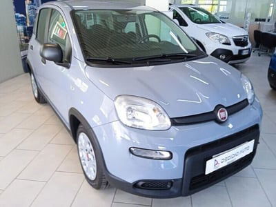 Fiat Panda 1.0 FireFly S&S Hybrid  usata
