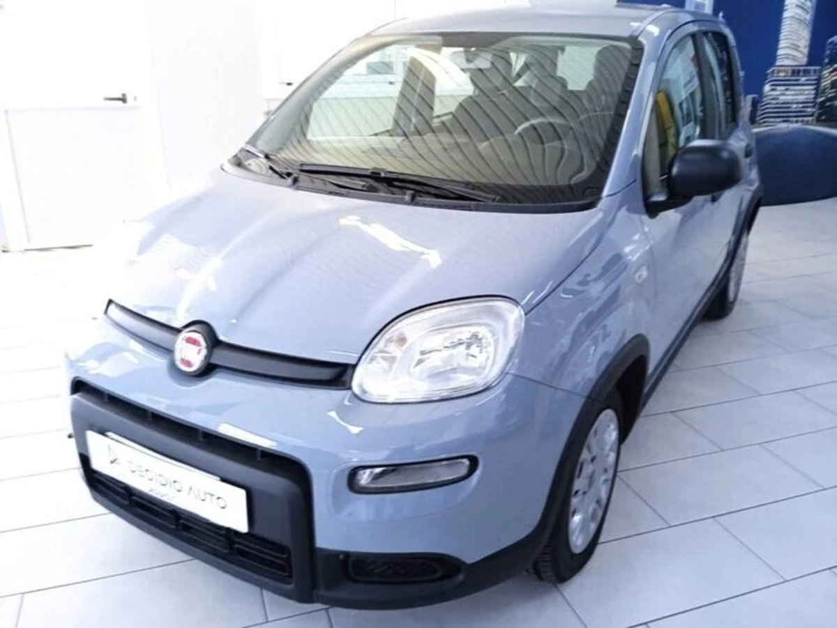 Fiat Panda 1.0 FireFly S&S Hybrid (2)