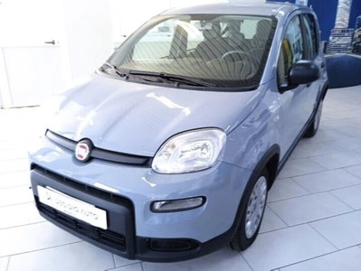 Fiat Panda 1.0 FireFly S&S Hybrid (2)