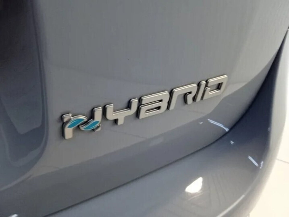 Fiat Panda 1.0 FireFly S&S Hybrid (5)