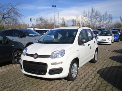 Fiat Panda 1.0 firefly hybrid s&s 70cv 5p.ti nuova