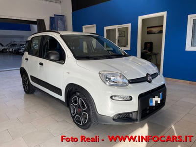 Fiat Panda 1.0 firefly hybrid s&s 70cv 5p.ti usata