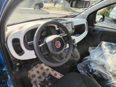 Fiat Panda 1.0 firefly hybrid s&s 70cv (5)