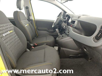 Fiat Panda 1.0 firefly hybrid s&s 70cv 5p.ti (17)