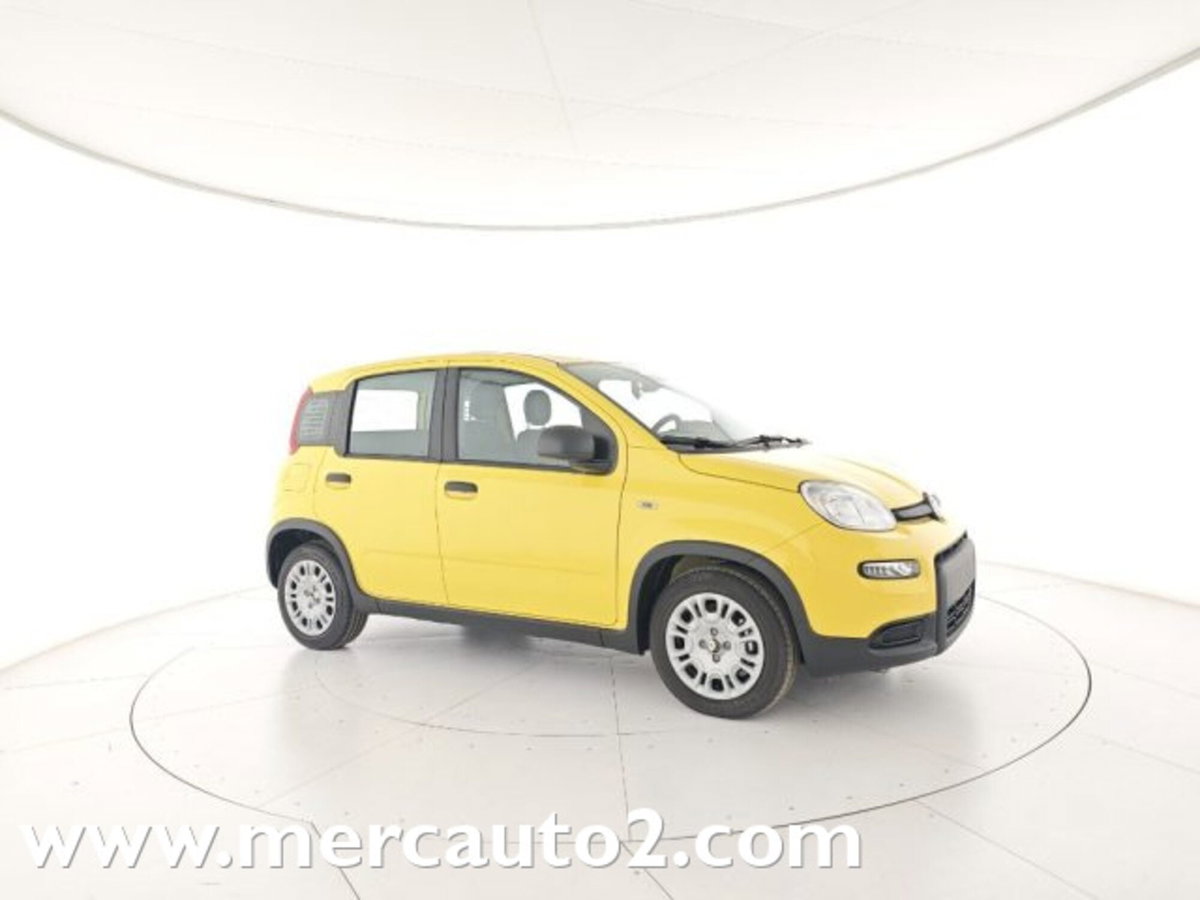 Fiat Panda 1.0 firefly hybrid s&s 70cv 5p.ti (2)