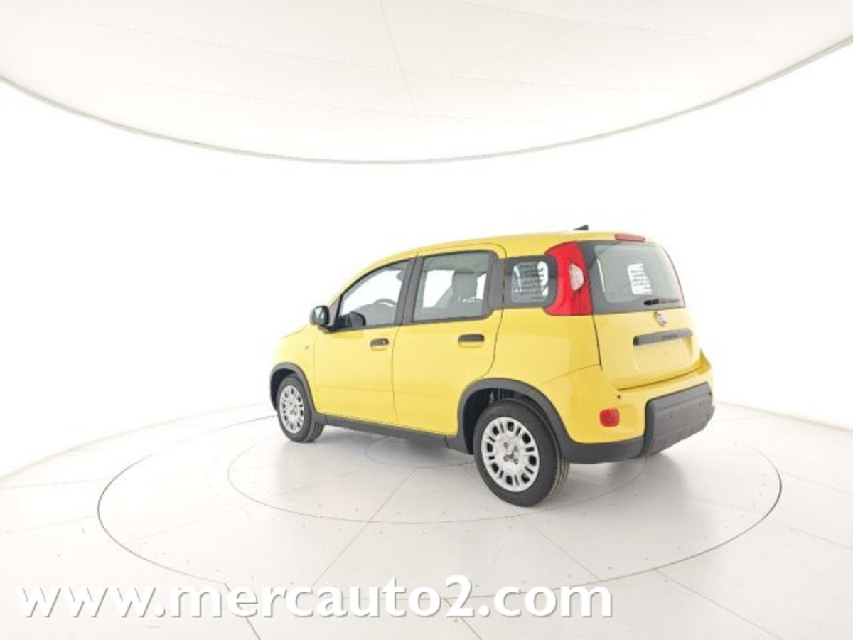 Fiat Panda 1.0 firefly hybrid s&s 70cv 5p.ti (4)