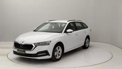 Skoda Octavia Station Wagon 2.0 tdi Executive 115cv usata