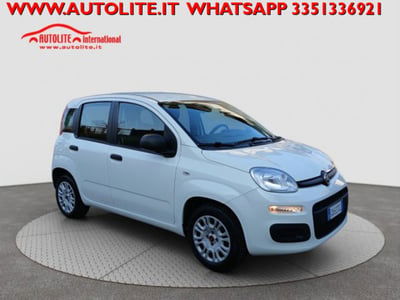 Fiat Panda 1.2 Easy usata