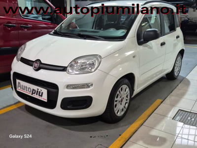 Fiat Panda 1.3 MJT S&S Easy usata