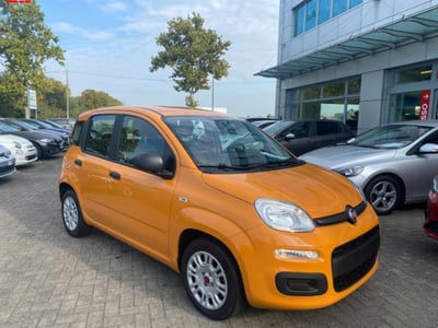 Fiat Panda 1.0 firefly hybrid s&s 70cv 5p.ti usata