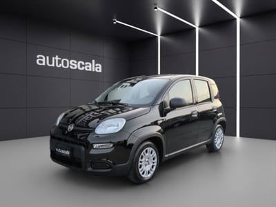 Fiat Panda 1.0 firefly hybrid s&s 70cv 5p.ti nuova
