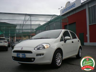 Fiat Punto 1.4 8V 5 porte Easypower Street usata