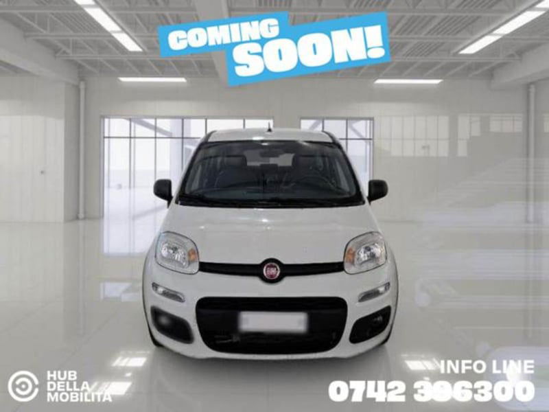 Fiat Panda 1.3 MJT S&S Easy Van 4 posti