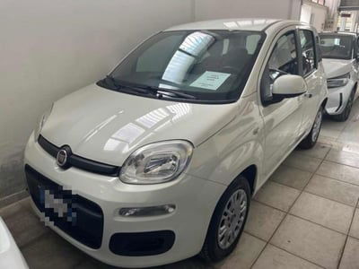 Fiat Panda 1.2 Pop usata