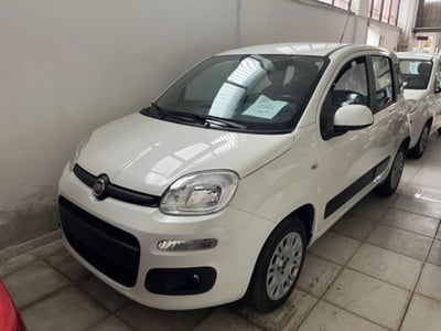 Fiat Panda 1.2 Lounge usata