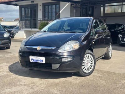 Fiat Punto Evo 1.2 5 porte S&S Dynamic usata