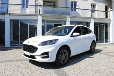 Ford Kuga 2.0 EcoBlue 190 CV aut. AWD ST-Line usata