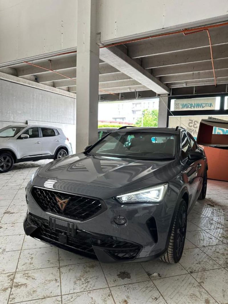 Cupra Formentor Formentor 1.4 e-hybrid Tribe Edition 204cv dsg