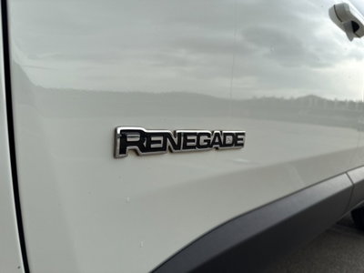 Jeep Renegade 1.6 Mjt 120 CV Limited (11)