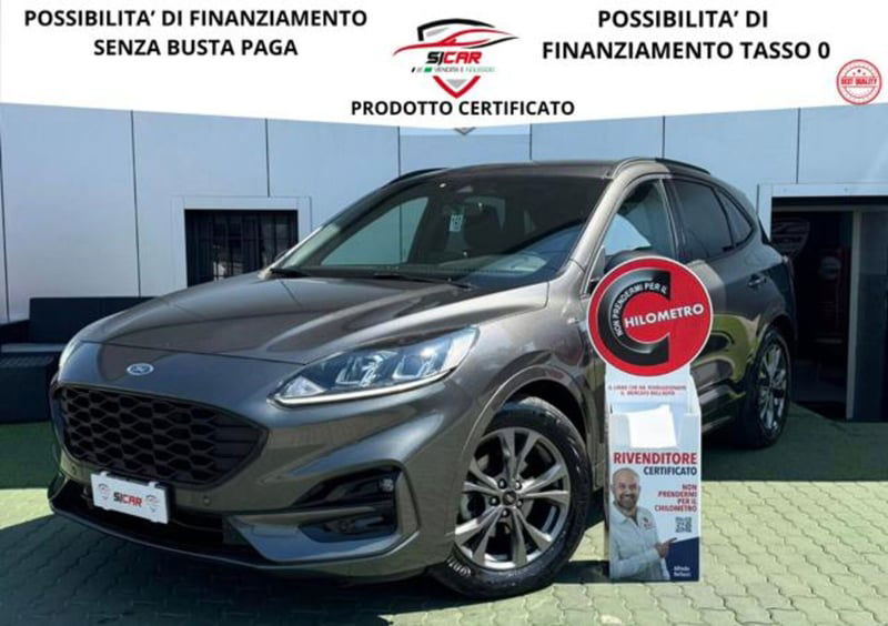 Ford Kuga 1.5 EcoBlue 120 CV 2WD ST-Line 