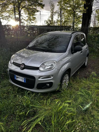 Fiat Panda 1.2 EasyPower Pop  usata