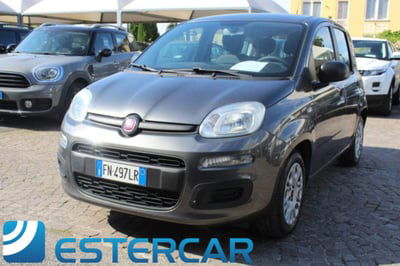 Fiat Panda 1.2 Easy usata