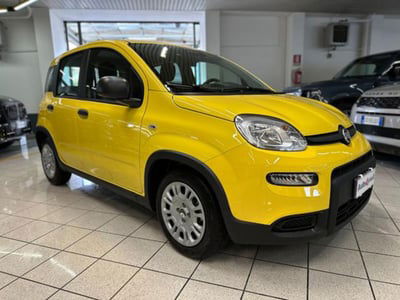 Fiat Panda 1.0 firefly hybrid s&s 70cv 5p.ti usata