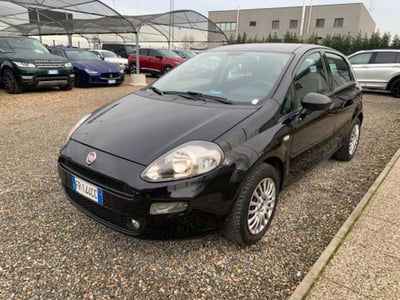 Fiat Punto 1.2 8V 5 porte Street usata
