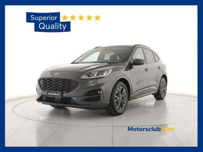Ford Kuga 2.0 EcoBlue Hybrid 150 CV 2WD ST-Line usata