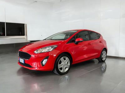 Ford Fiesta 1.1 75 CV 5 porte Plus usata