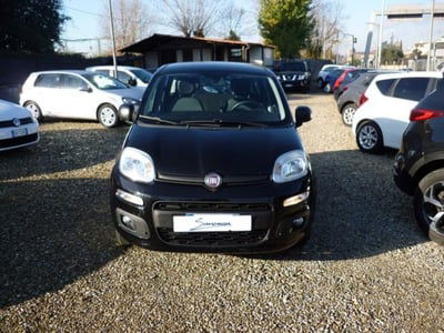 Fiat Panda 1.2 EasyPower Easy usata
